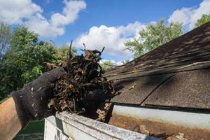 Gutter cleaning in Monroe, dirty gutter being cleaned by a gloved hand