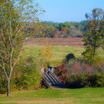 Landscape of Manalapan NJ