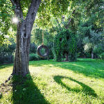 Tree cared for tree service in Smithville with a tire swing